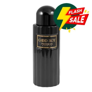 PENDORA SCENT Good Boy Paris perfumed water for men 100ml buy online