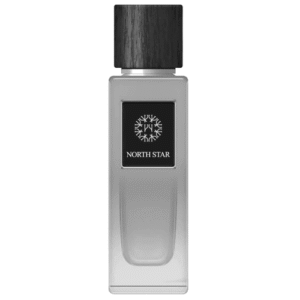The Woods Collection Natural North Star perfumed water for men 100ml (Similar to Bleu de Chanel)