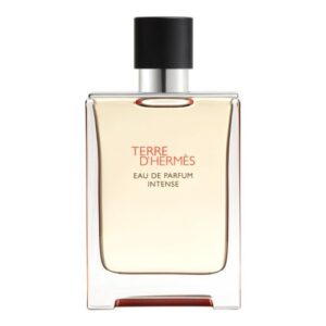Hermès Terre D'Hermes Intense EDP vīriešiem 100 ml veikals pirkt smaržas
